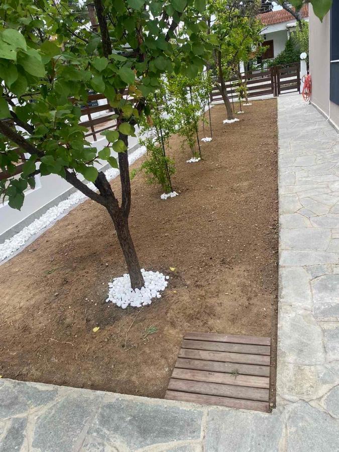 R Lux Villa Nea Kallikrateia Exteriör bild